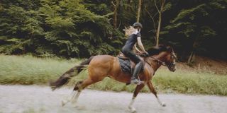 年轻的骑手骑在雄伟的马在茂密的森林