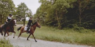 两个金发女骑手骑在敏捷的马在富裕的森林