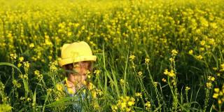 一个戴着黄色帽子的女孩藏在高高的草丛里，在夏天盛开的田野里，她跳出来看着太阳。夏天，日落，节假日，防晒霜，过敏，驱蚊。