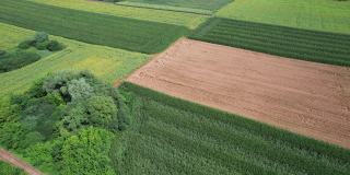 农用绿豆田的航拍。Bueutiful自然景观。4 k资料片。