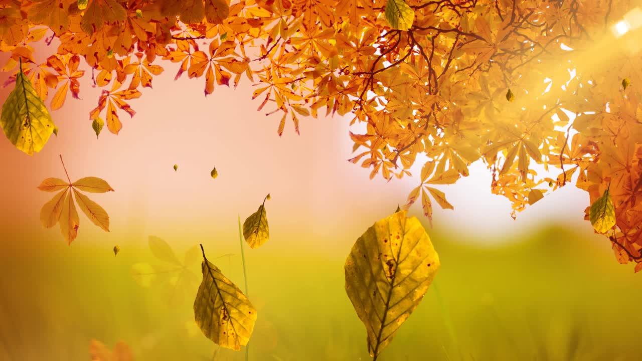 动画的树叶落在秋天的风景