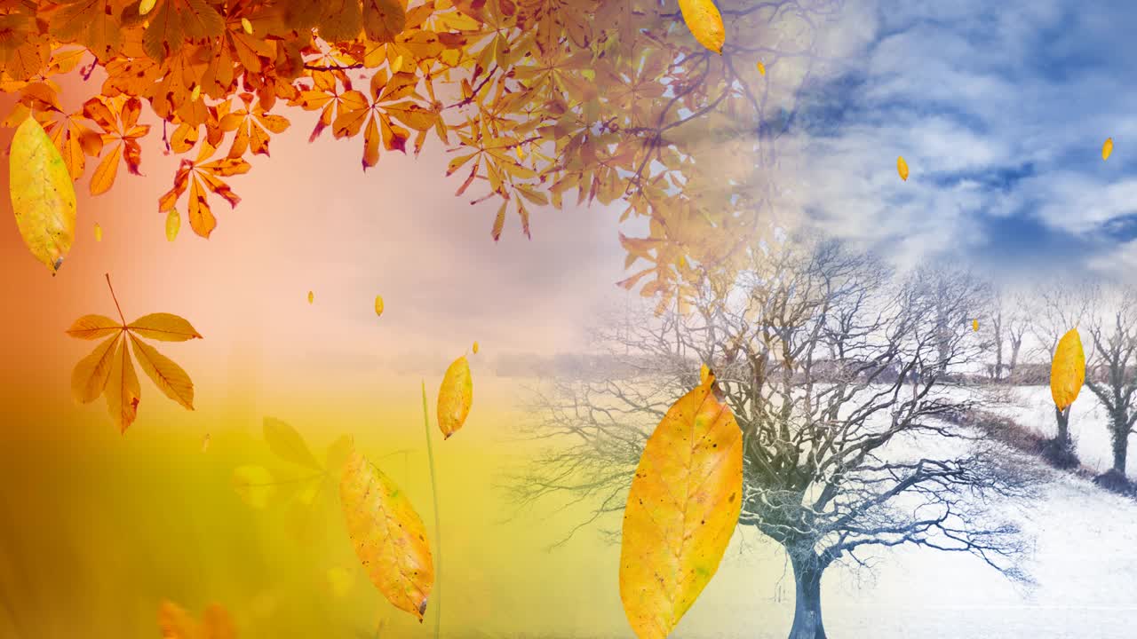 动画的树叶飘落在秋冬的风景