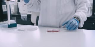 一个不知名的科学家在实验室做医学研究的4k视频片段