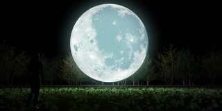 一个人朝着月亮走，然后消失在月亮里。
