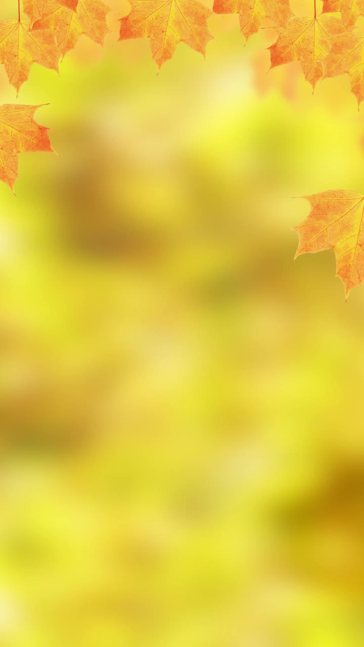 秋天的落叶，秋天的枫叶和文字你好十月上一个自然的背景