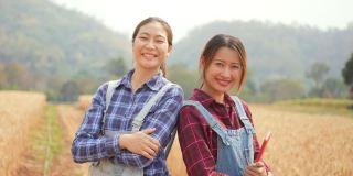 两个亚洲女农民一起在麦田里劳作的4K肖像