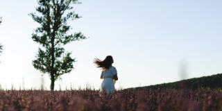一个穿着夏装的女人走过薰衣草田。普罗旺斯,法国。美丽的女孩走在紫色薰衣草和享受温暖的夏日之间