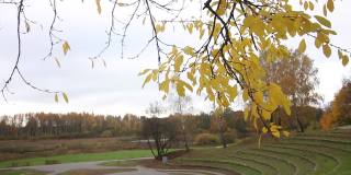 秋季城市公园的圆形剧场。风吹得枯叶飘动。一条人行道清晰可见。