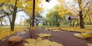 城市公园凉亭桌上的秋叶。风吹得黄叶飘动。地上铺满了秋天的落叶。