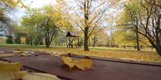 城市公园凉亭桌上的秋叶。风吹得黄叶飘动。地上铺满了秋天的落叶。