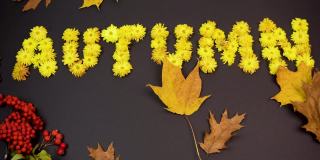 秋字由黄色的菊花花头制成。秋天的枫叶在风中飞舞。