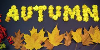 秋字由黄色的菊花花头制成。秋天的枫叶和字秋天在风中飞舞。