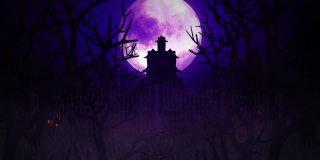 暗紫夜万圣节背景南瓜和鬼屋和蝙蝠飞行与一个神奇的大月亮在天空，万圣节背景4K动画