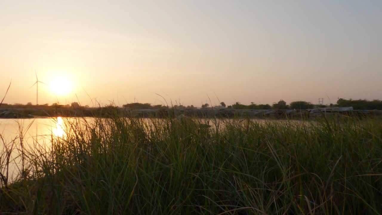 日落时湖旁草地的特写镜头