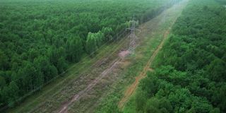 电力高电压替代能源远达地平线，坐落在纯绿色的森林之中。无人机的鸟瞰图。生态学的概念。
