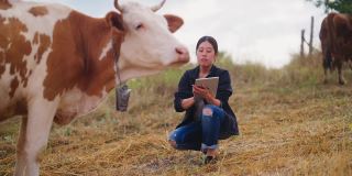 一位女农民正在用电子平板电脑检查牛群