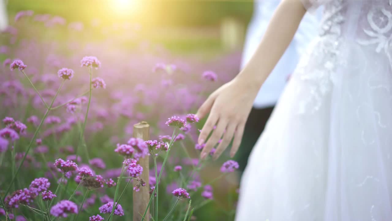 女人的手抚摸着夕阳下的花朵