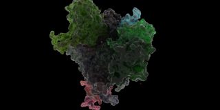 噬菌体PHIX174核糖结构的PROCAPSID