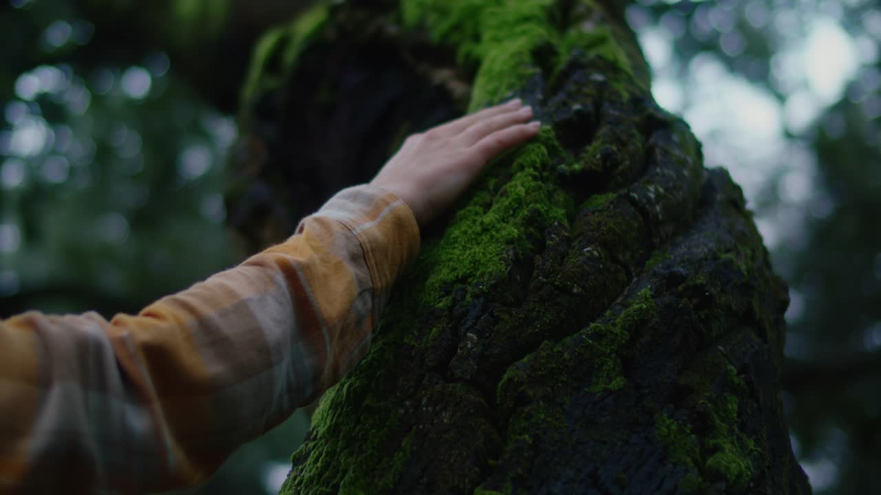女人在电影森林里摸树皮