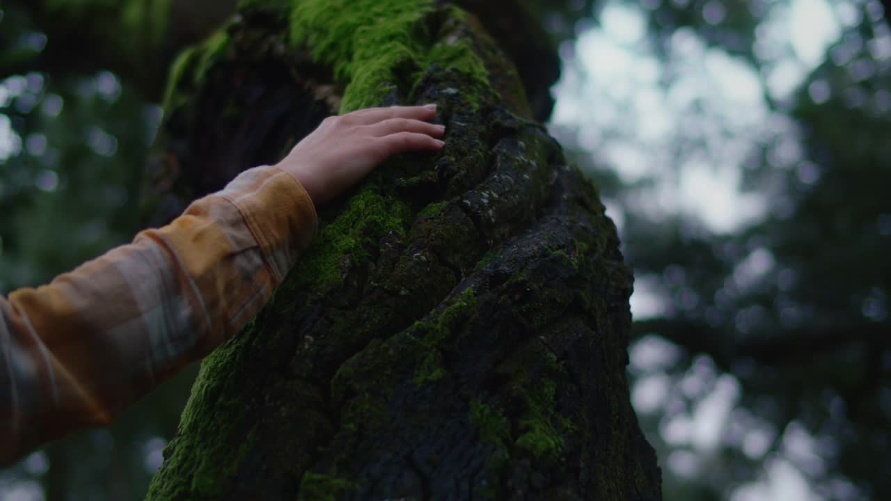 女人在电影森林里摸树皮