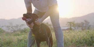 一位英俊的年轻人带着他的爱犬站在乡间小路上，身后是绿油油的草地，夕阳西下，与一只黑色的拉布拉多嬉戏，在乡间遛狗，放松休闲