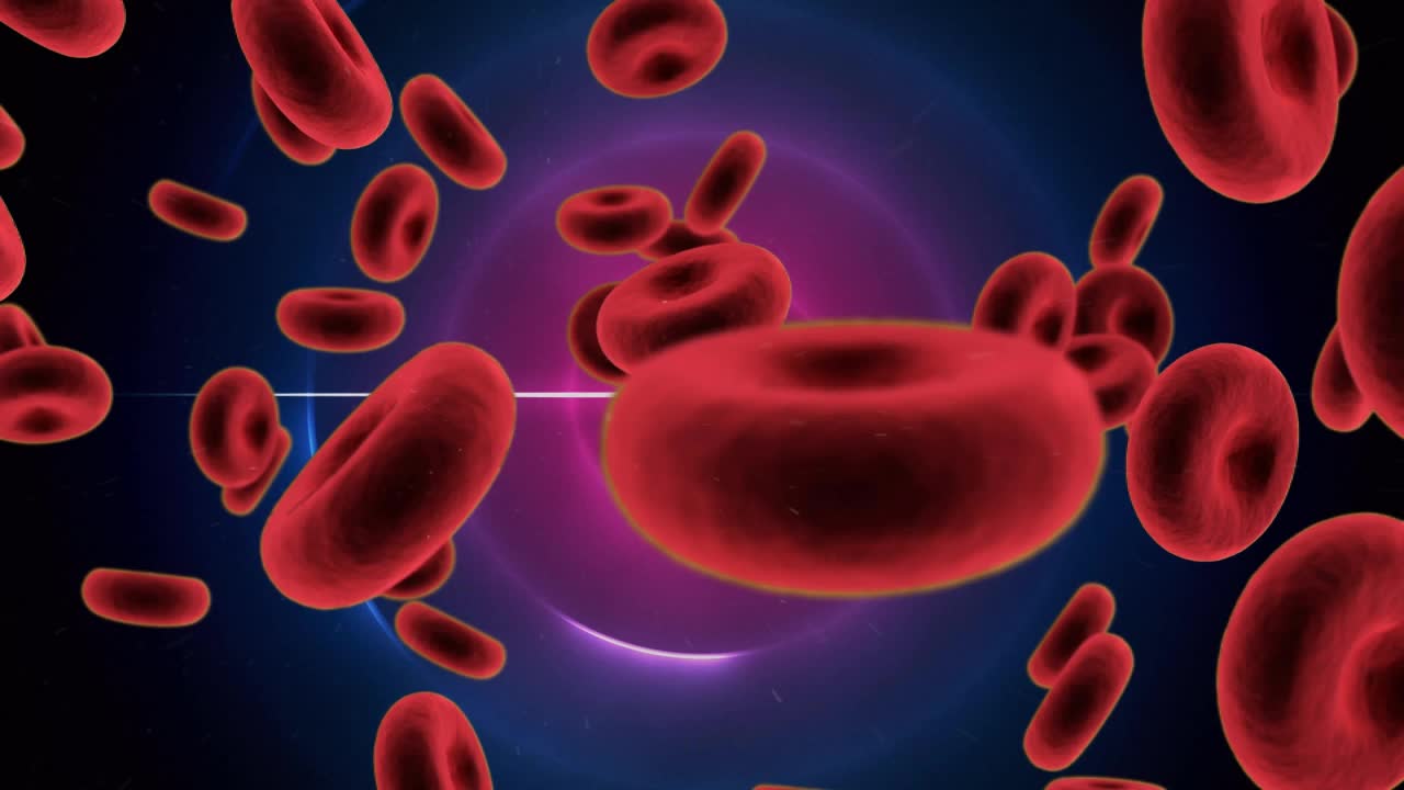 血细胞在紫色圆圈上的动画