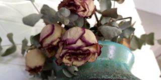家中花瓶里的粉色花朵拍摄，生活物品库存视频中一天的概念