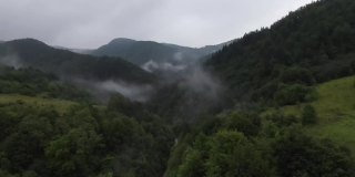 在雾蒙蒙的森林里近距离飞越树梢。航拍在fpv运动无人机绿色自然山谷景观山地丘陵地形。动态高速旋转电影视图。