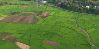 鸟瞰大片农田，河流穿过的稻田。泰国北部南省农村地区的农业生活方式。