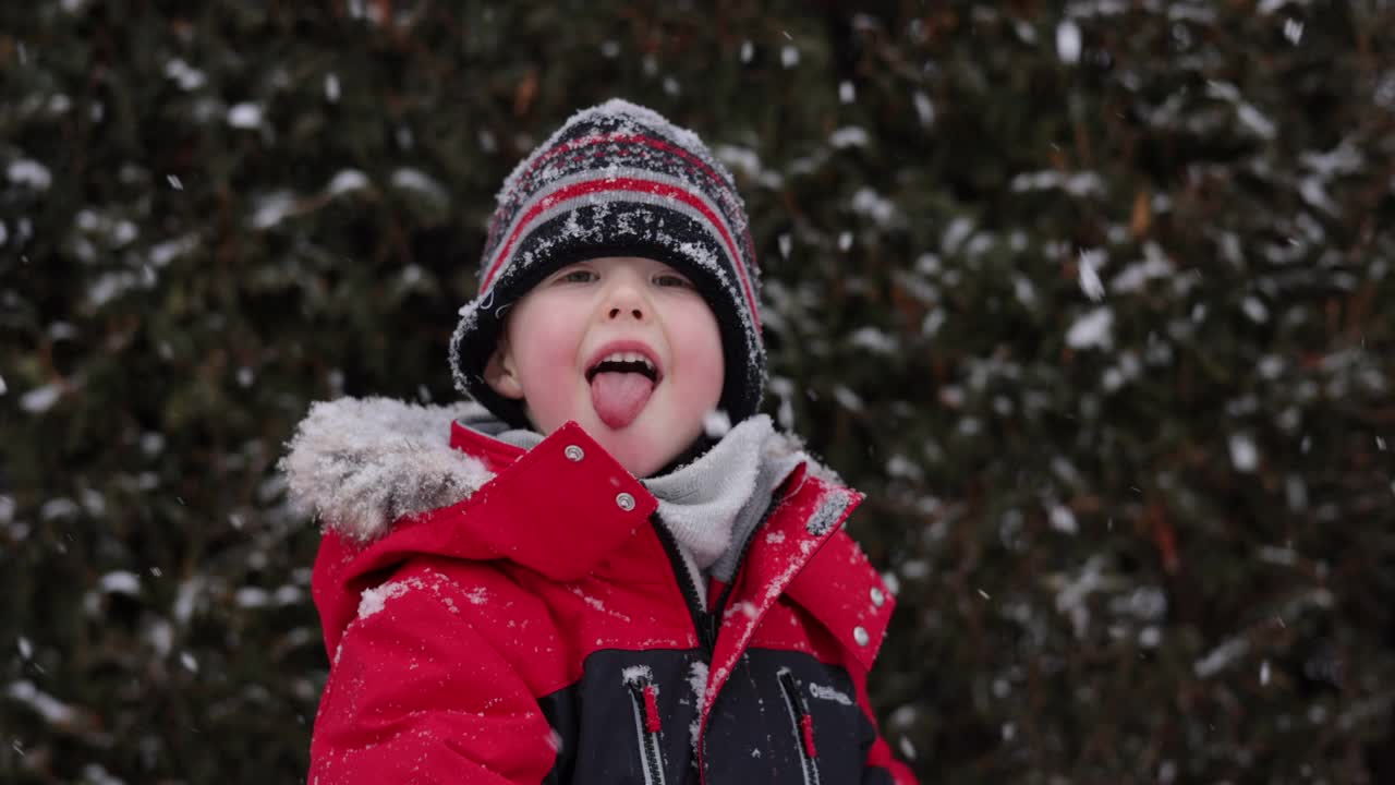 冬天的森林里，小男孩用舌头抓着雪花