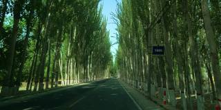和田是新疆省白杨树大道