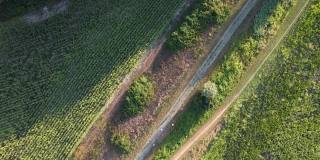 无人机拍摄的意大利北部农田和树木