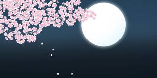 满月上的云朵，夜晚盛开的樱花。演示视频