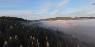 在晨雾中飞过薄雾的森林，在日出时，阳光照射在树梢。航拍在fpv无人机云朵自然景观与山地丘陵地形。电影的看法。