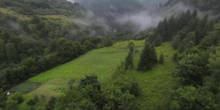 在雾蒙蒙的早晨，在树梢上近距离飞行。航拍在fpv运动无人机云朵自然山谷景观丘陵地形。动态电影的看法。
