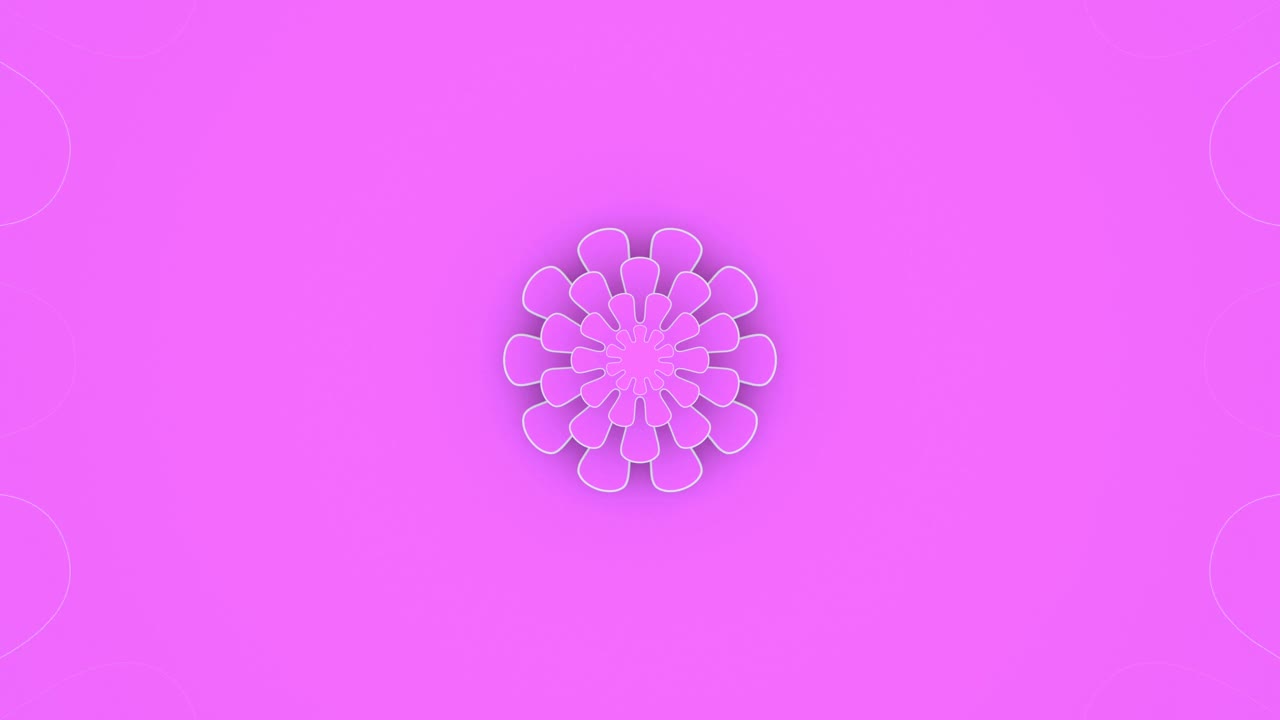 白色粉红色背景，花催眠曼荼罗，3d运动设计，分层纸艺术，循环动画壁纸，抽象几何图案，花卉动画，同心形状，菊花盛开