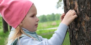 小女孩触摸树皮树和调查大自然的细节。户外儿童活动和学习概念。好奇的童年。