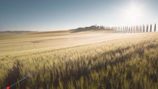 意大利托斯卡纳的完美夏日风景视频素材模板下载