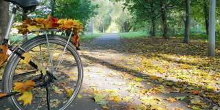 在城市公园的一条小路上，一辆挂着五彩枫叶的自行车站在秋天的森林里。慢动作