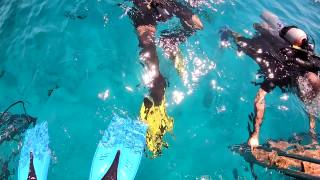 一群潜水员在水下参加水肺潜水课程视频素材模板下载