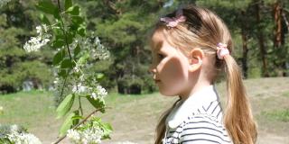 儿童花粉过敏。小女孩闻鸟樱桃花，打喷嚏和擤鼻子因为季节性过敏。春季过敏的概念。