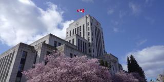 温哥华市政厅，樱花盛开