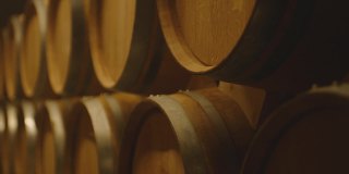 在大仓库里存放葡萄酒、白兰地或威士忌的陈年木桶。多利，万向节的运动，一长排葡萄酒桶在一个葡萄酒厂与酒精。酿酒及发酵工艺