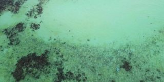 在热带岛屿的珊瑚绿松石海下的无人机视图，暑假