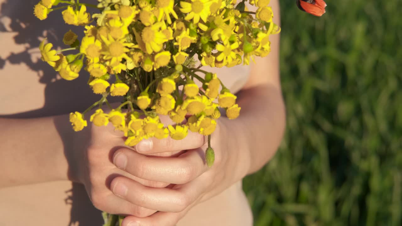 一个女孩手中的一束野花。