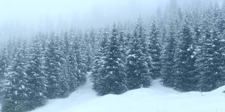 山上的雪覆盖着森林。美丽的冬天的风景。