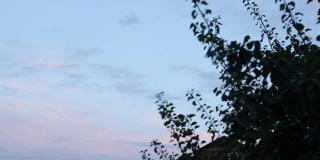 清晨日出的天空在村庄里。蓝天和树叶。本空间