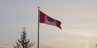 风中飘扬的加拿大国旗。充满活力的日落。