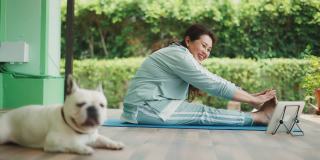 一个健康的女人早上和法国斗牛犬一起练习瑜伽。