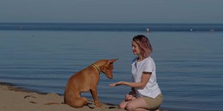 法老王养了一只灰狗，它的女主人在大自然中玩耍和散步。海滨。白天的蓝天。动物和人类之间的友谊。